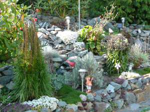 Rock Garden